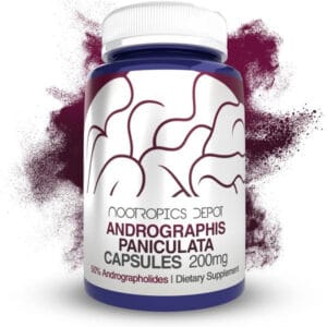 Andrographis Paniculata capsules for cognitive health and immune support.