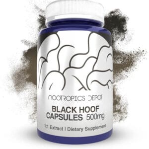 Buy Black Hoof Mushroom Capsules online Europe, Where to buy nootropics for hormone, Energy, Mood, Pains online in Europe, Look no further Order Now