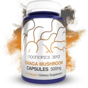 Buy nootropics Chaga Mushroom Capsules Europe, Where to buy nootropics online for Cardio, Immunity, Longetivity, Cognition, Buy nootropics online Greece