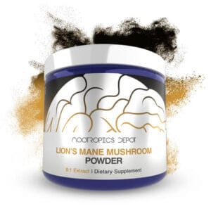 Buy lion mane nootropics online Europe, supports cognitive function, memory, nerve health, and healthy neurological function through bioactive compounds.