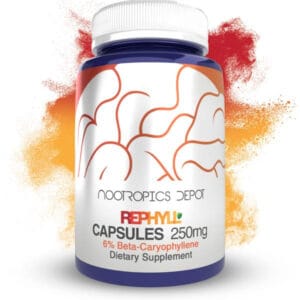 Buy Rephyll Capsules Europe, 6-10% Beta, Caryophyllene Supports Natural Pain Relief, Supports Healthy Inflammation Response, Supports Neuronal Function