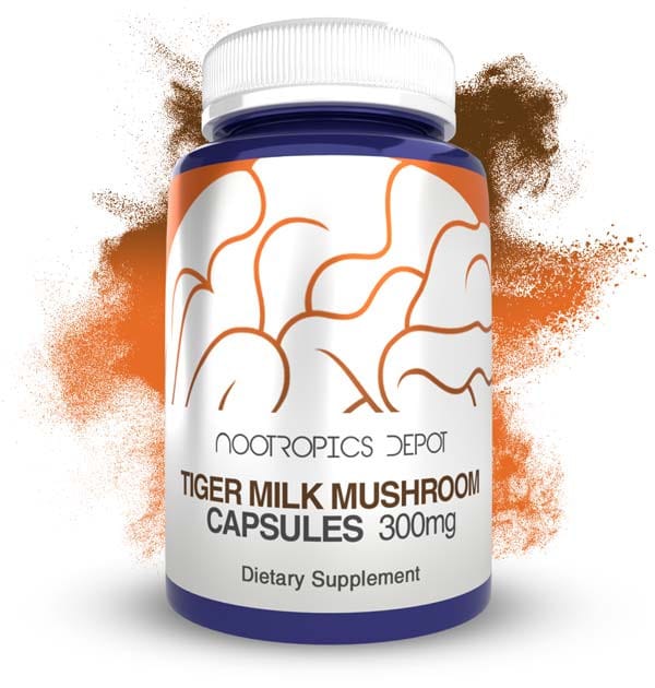 Buy Tiger Milk Mushroom Capsules online Europe, Where to buy best nootropics for memory health, Cognition, Focus, Mood online Europe, Free Shipping